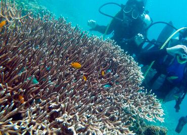 Amenazado, el "museo" más grande del mundo