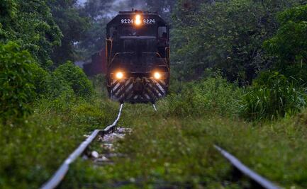 Sin obras, la mitad de la industria de la construcción por trabajos del Tren Maya, señalan especialistas