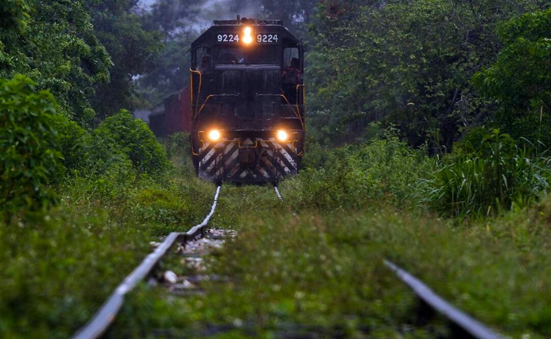 Foto: Archivo EL UNIVERSAL