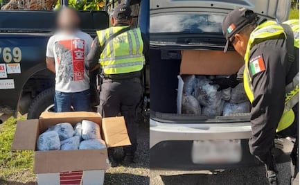 Hallan droga en auto de Quintana Roo; intentaba ingresar a Tekax, Yucatán