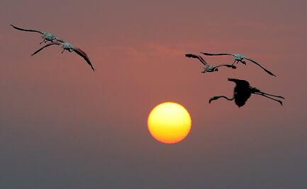 La NASA niega "Mini Edad de Hielo" por ciclo solar