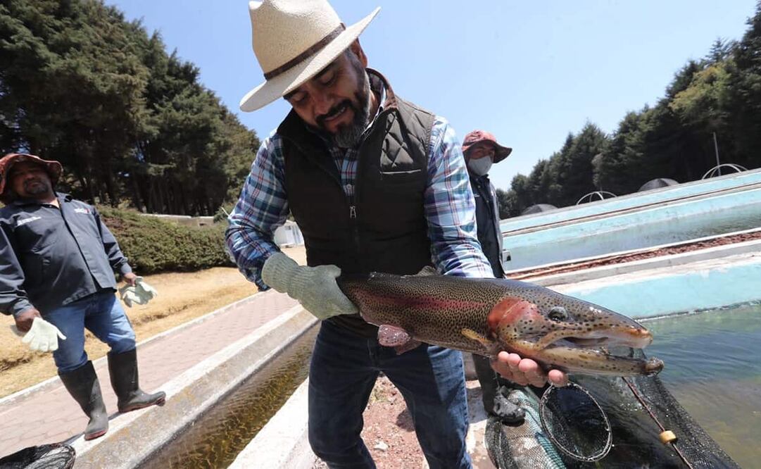 Productores señalan que la pandemia afectó el desarrollo de la actividad