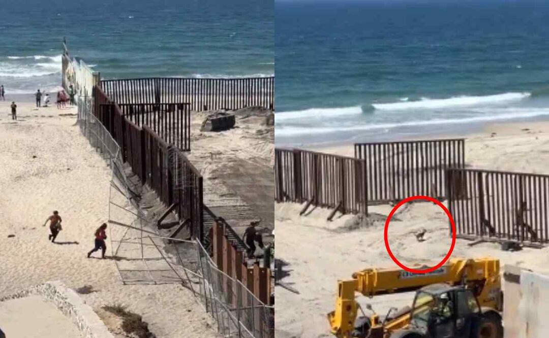 En la imagen se ve a varios migrantes cruzando la frontera de México a EU, incluso un perro pudo cruzar. Foto: Captura de pantalla