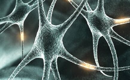 Desarrollan técnica para eliminar neuronas que actúan sobre la obesidad