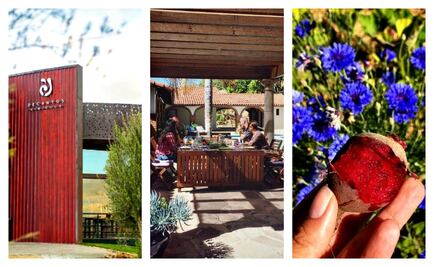 Escápate al Valle de Guadalupe