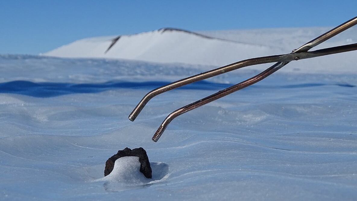 Los meteoritos que caen a la Tierra suelen ser muy pequeños. Foto: Geoff Evatt/ University of Manchester