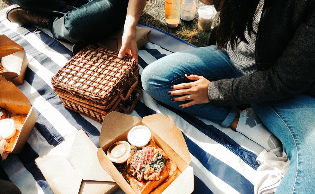 Hacer un picnic es posible en varios parques de CDMX. Imagen: Unsplash