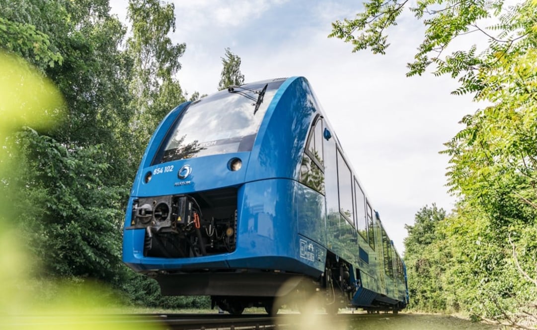 Indigenous communities and experts have rejected the construction of the train - Photo: Courtesy of the Mexican government