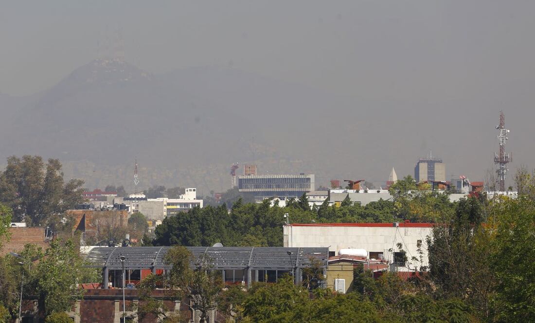 Berenice Fregoso / EL UNIVERSAL