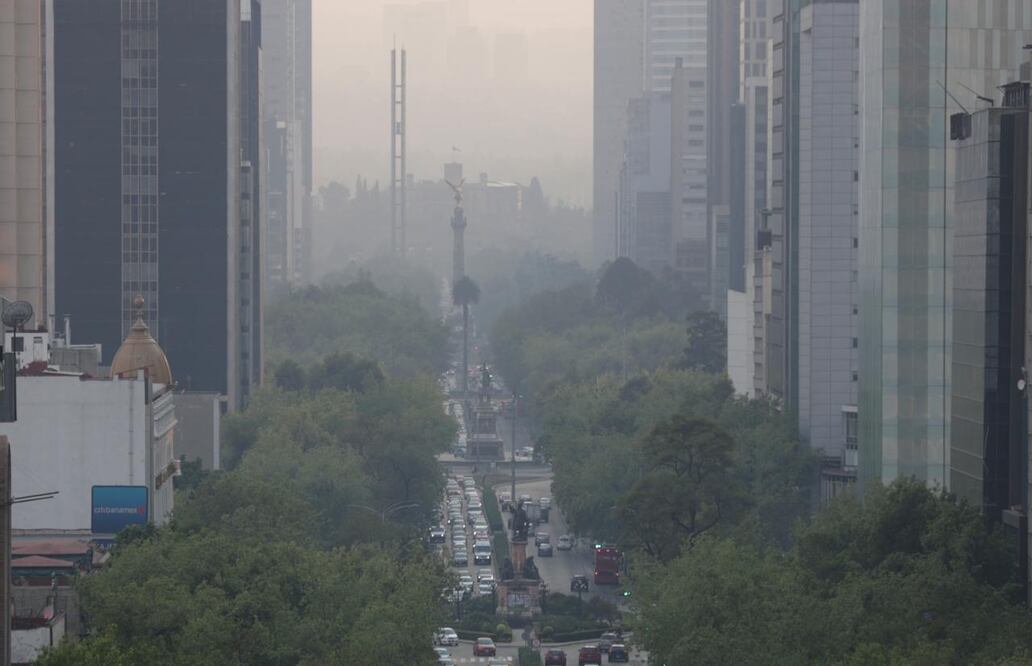 Fotografía: Berenice Fregoso/ EL UNIVERSAL