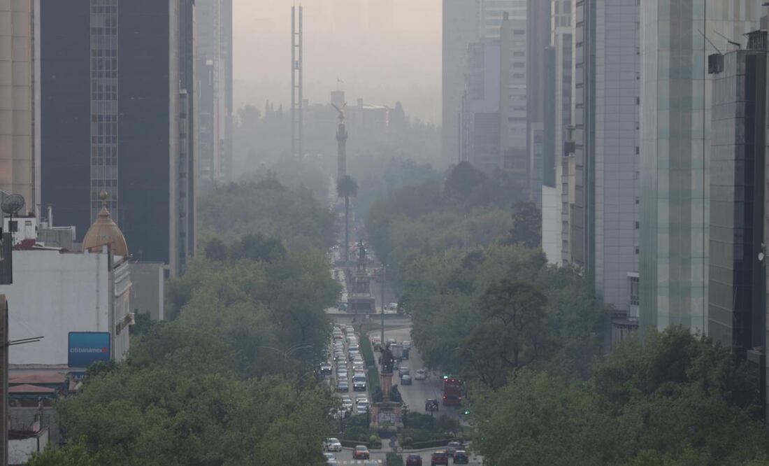 Fotografía: Berenice Fregoso/ EL UNIVERSAL