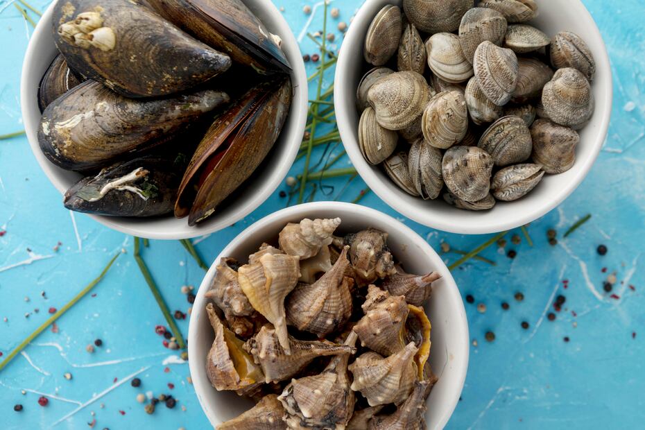 Los moluscos bivalvos tienen dos conchas que protegen su cuerpo blando. Foto: Freepik