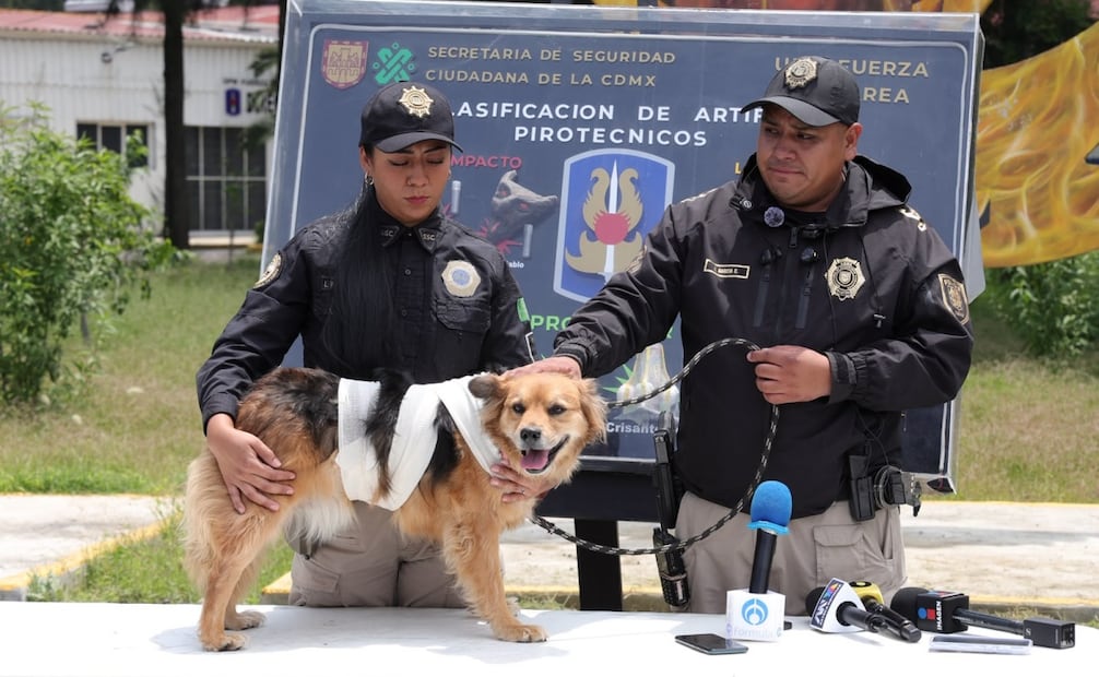 Agrupamiento Fuerza de Tarea de la Secretaría de Seguridad Ciudadana (SSC), en una demostración este 8 de septiembre del 2026, de los daños que causa la pirotecnia. Foto: Juan Carlos Williams / EL UNIVERSAL