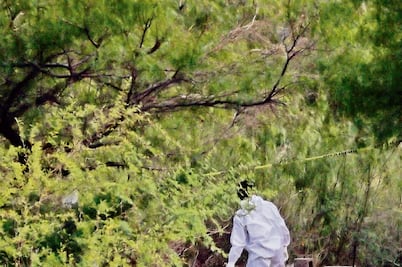 En 7 años suman 116 fosas clandestinas