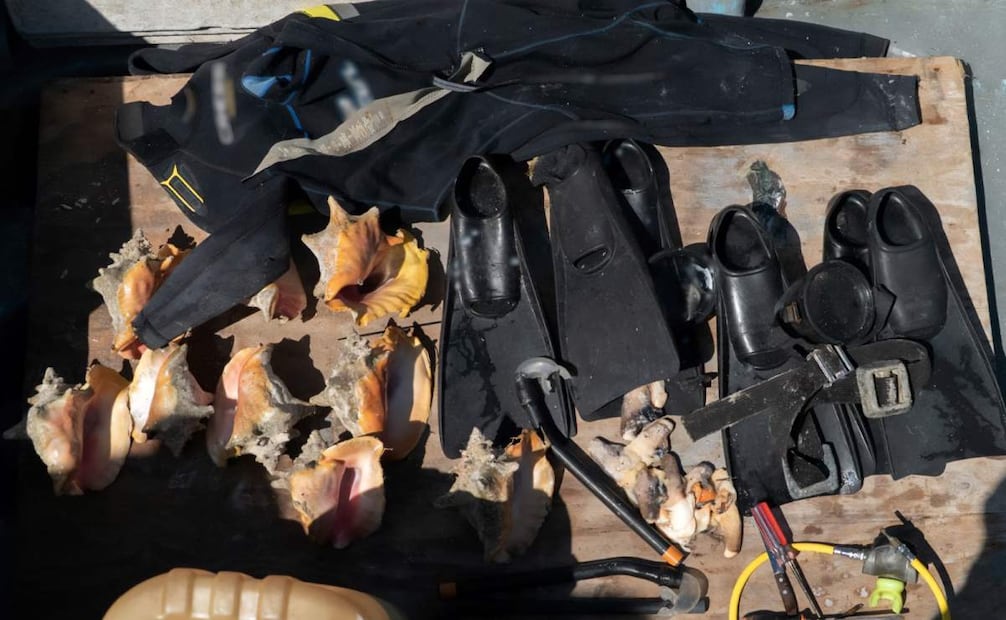 Caen pescadores furtivos en Yucatán (11/03/2026). Foto: Especial