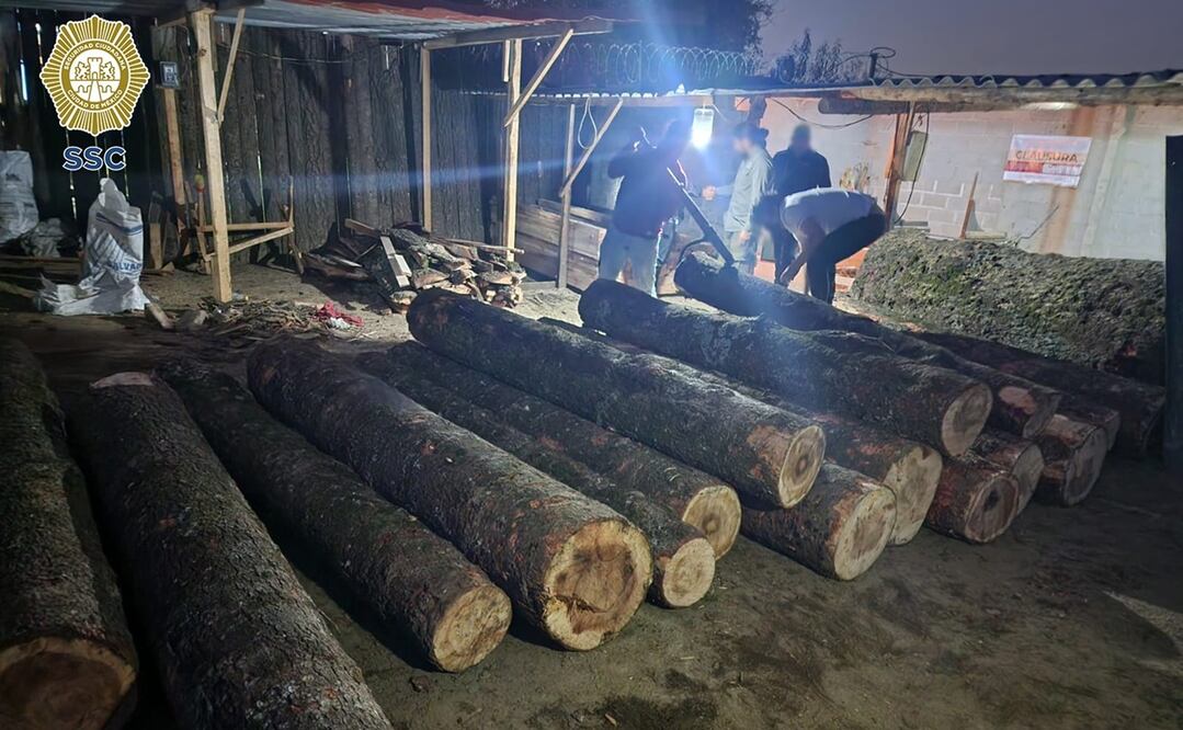 Aserradero clandestino en la alcaldía Tlalpan. Foto: Especial