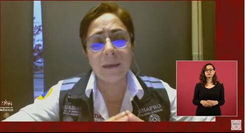 México pedirá apoyo a dos empresas extranjeras para el rescate de mineros