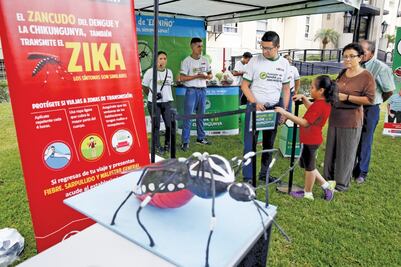 Mosquitos transgénicos contra el virus