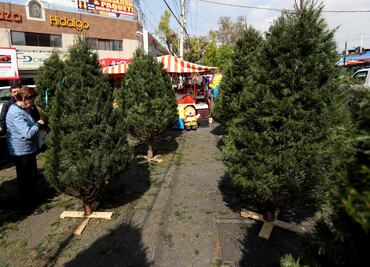 Prevén que fiestas decembrinas dejen al comercio 424 mil mdp