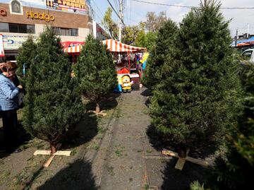 Prevén que fiestas decembrinas dejen al comercio 424 mil mdp