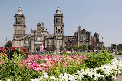 14 de febrero: en el Zócalo se instalará el Jardín del Buen Amor