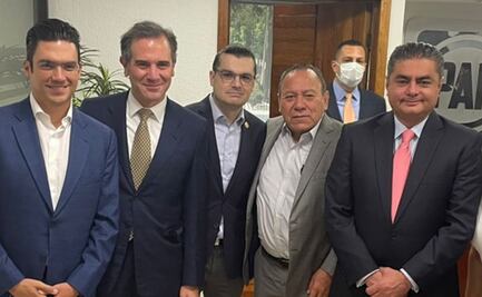 Lórenzo Córdova acude a Parlamento abierto sobre la reforma electoral de Va por México