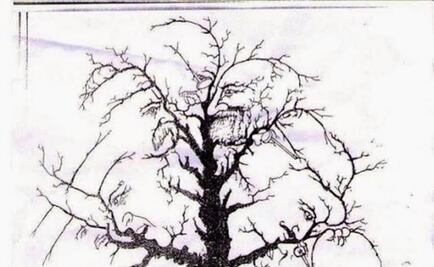 ¿Cuántas caras se esconden entre las ramas?