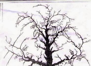 ¿Cuántas caras se esconden entre las ramas?