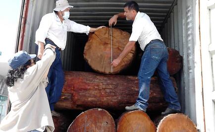 Profepa decomisa madera en puerto yucateco