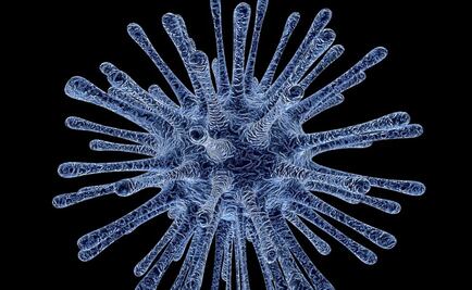 Henipavirus: ¿qué tan peligrosa es la nueva enfermedad detectada en China?