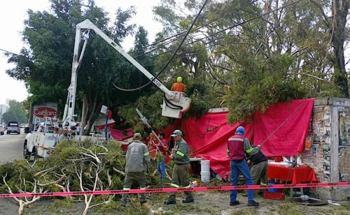 Rama de árbol cae sobre puesto de comida en Azcapotzalco; tres personas resultan lesionadas