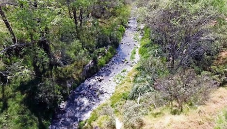 Detectan tres descargas de aguas residuales en río