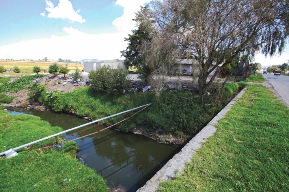 El río de la Barranca sirve para el pastoreo de vacas y caballos de los ejidatarios, además de captar aguas residuales. (JORGE ALVARADO. EL UNIVERSAL)