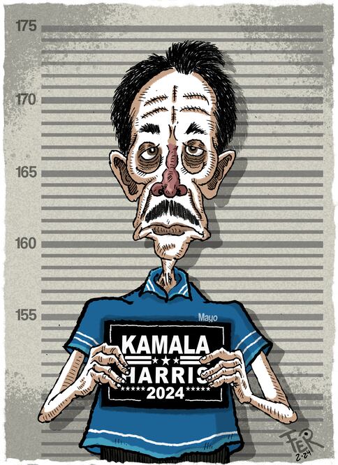 Cartón de FER