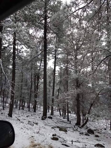 Impresionantes postales deja nevada en municipios de Chihuahua