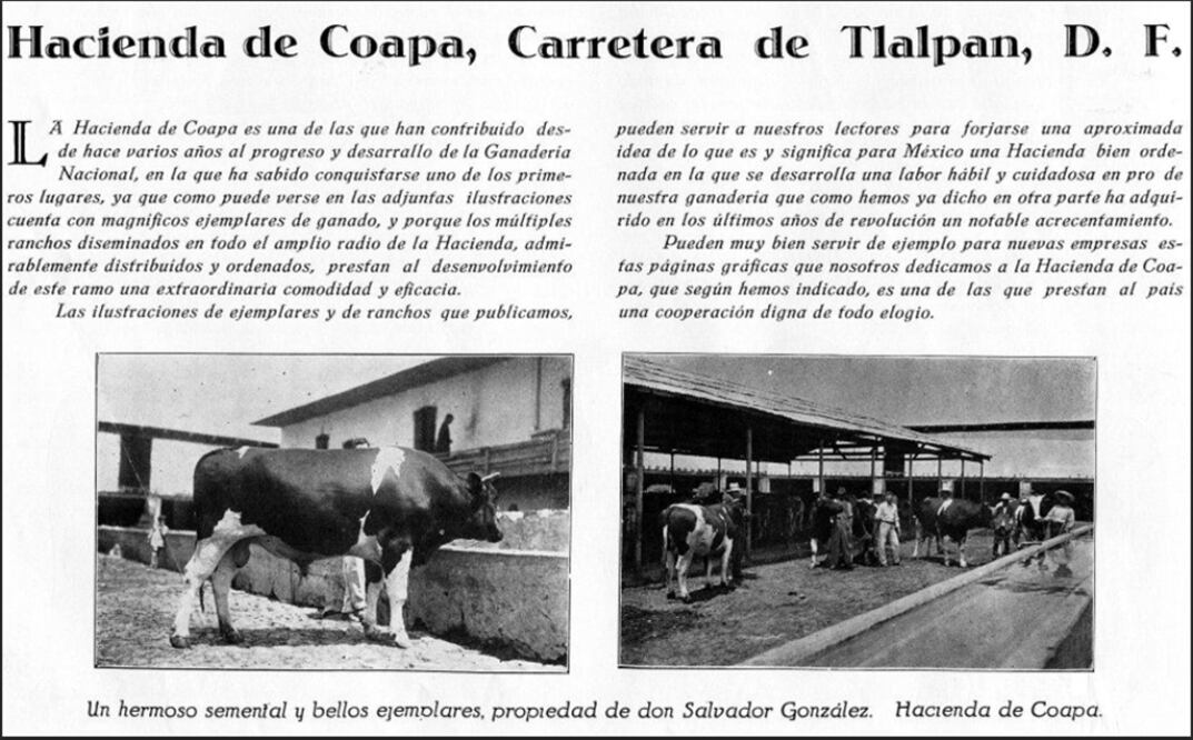 Publicidad de la Hacienda ganadera de Coapa en los años veinte. Existían distintos establos y ranchos dentro del mismo terreno, como el de Ramón Díaz y Hermanos, y el del famoso ganadero Don Pedro González Fernández. La casa grande se encontraba en inmediaciones de la actual Prepa 5. Todavía por Calzada del Hueso se pueden ver restos de la troje.