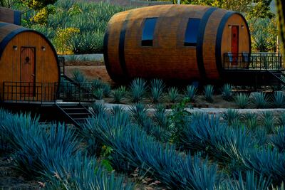 5 hoteles dedicados al tequila, el vino y la cerveza 