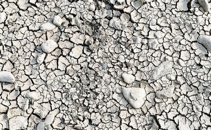 Effective right to water