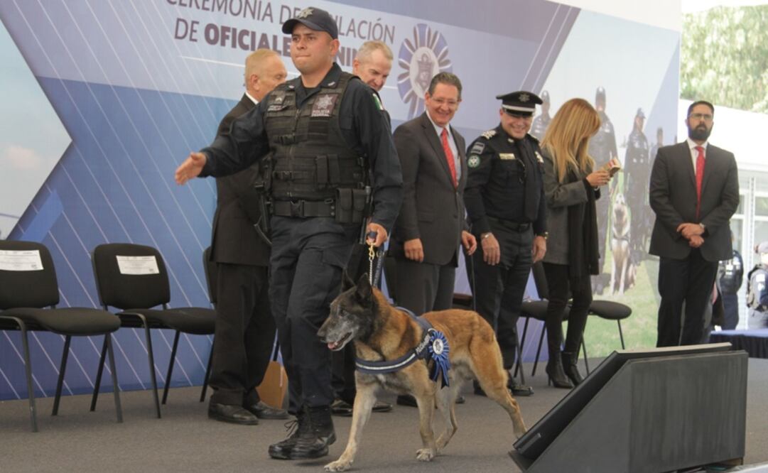 Oficiales caninos durante la ceremonia de jubilación. Foto: Carlos Mejía/EL UNIVERSAL