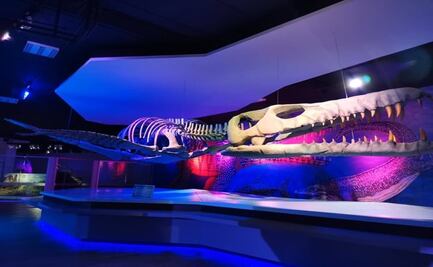 Semana Santa: Museos de Puebla un viaje soñado