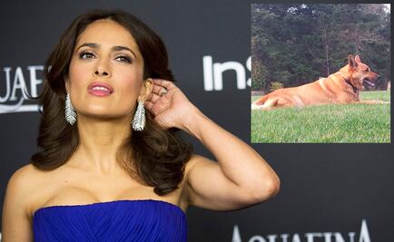Asesinan al perro de Salma Hayek