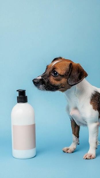 La advertencia de la veterinaria refuerza la necesidad de elegir con cuidado los productos para nuestras mascotas. Fuente: Freepik.