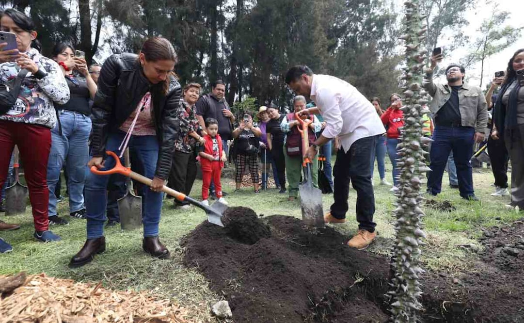 Alcaldía Venustiano Carranza arranca con Jornada de Reforestación; plantarán 5 mil árboles. Foto: Especial