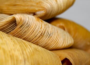 ¿Cuándo y dónde será la Feria del Tamal Vegano en CDMX?