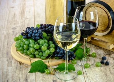 Los vinos mexicanos que debes conocer sí o sí