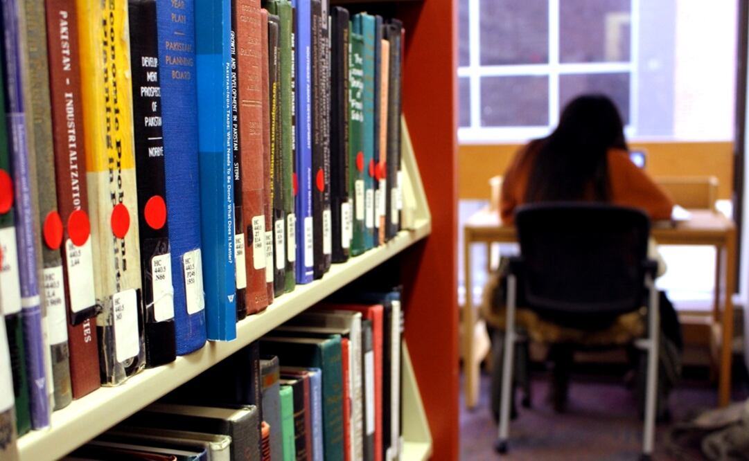 Imagen genérica de una persona en una biblioteca. Foto: AP /Michael Rubinkam, Archivo