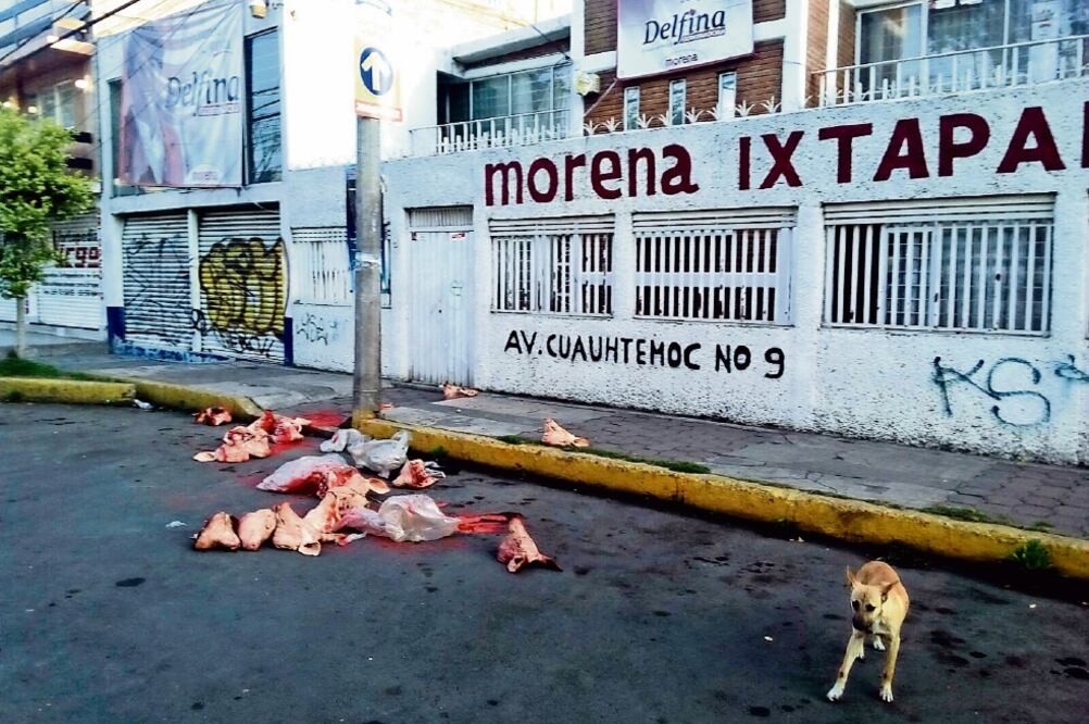 Los restos de los cerdos fueron abandonados durante la madrugada (CORTESÍA)