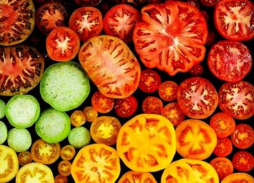 ¿Verde o rojo? Ensaladas con tomate y jitomate que puedes preparar para el #LunesSinCarne