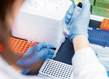 Secuencian genoma completo de un cadáver, conservado en perfectas condiciones desde el 79 d.c