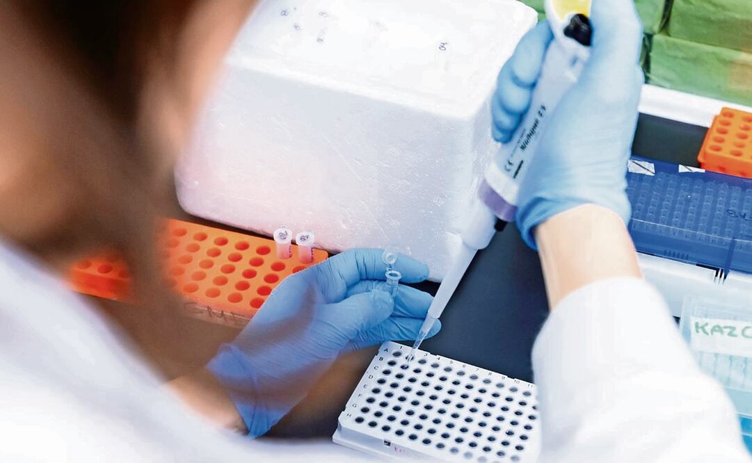 Imagen ilustrativa. Foto: Archivo, El Universal 